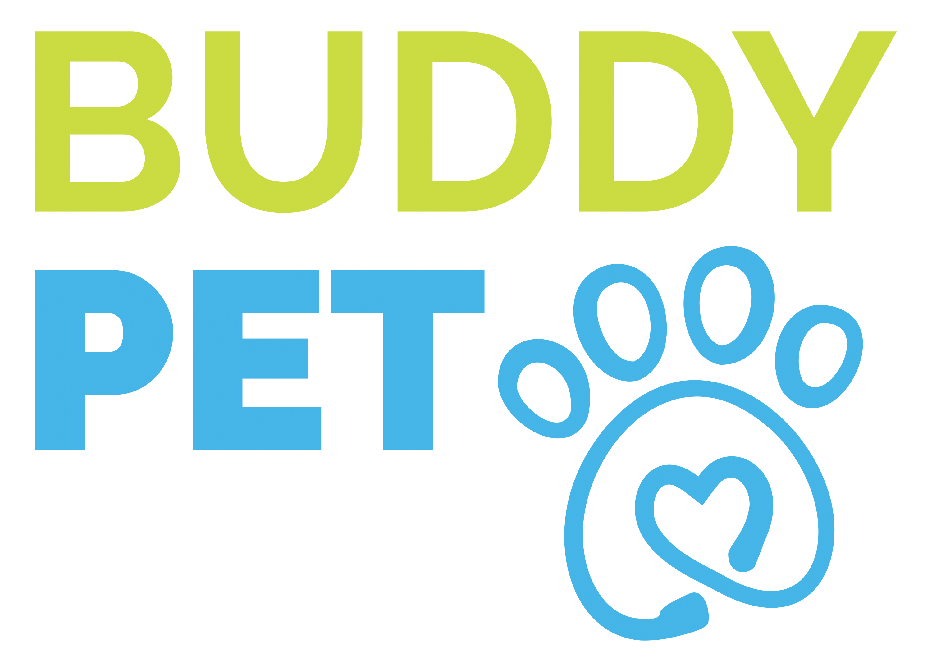 Buddy Pet